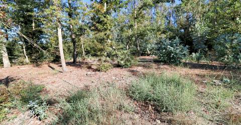 Terreno Rústico  Venda em Ferreiros, Prozelo e Besteiros,Amares