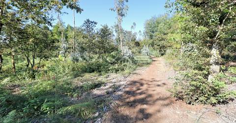 Terreno Rústico  Venda em Ferreiros, Prozelo e Besteiros,Amares