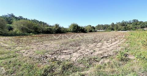 Terreno Rústico  Venda em Ferreiros, Prozelo e Besteiros,Amares