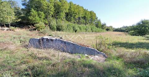 Terreno Rústico  Venda em Ferreiros, Prozelo e Besteiros,Amares