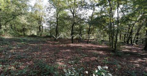 Terreno Rústico  Venda em Ferreiros, Prozelo e Besteiros,Amares