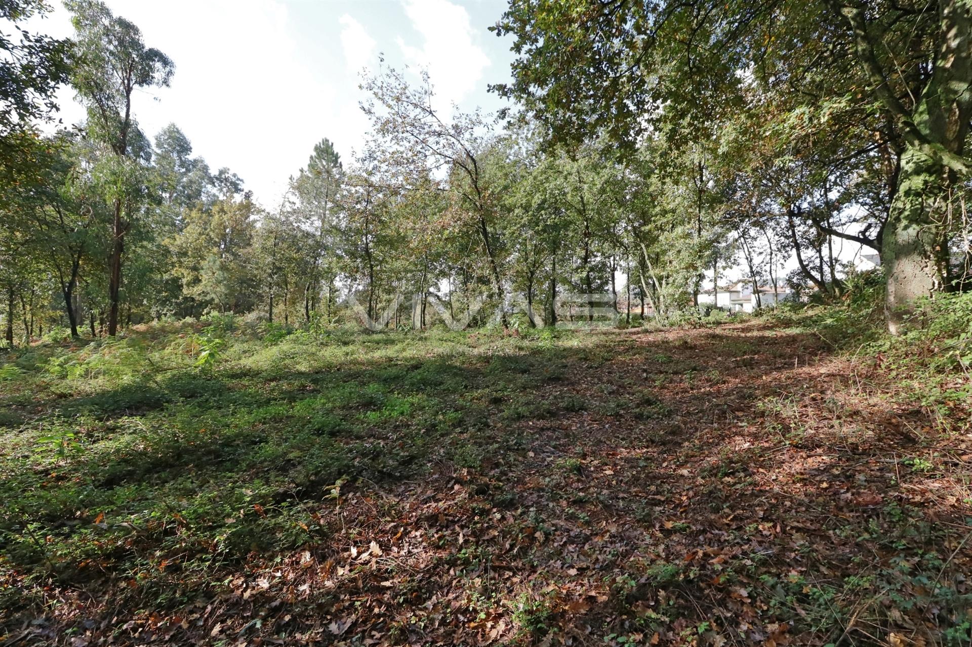 Terreno Rústico  Venda em Ferreiros, Prozelo e Besteiros,Amares