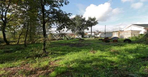 Terreno Rústico  Venda em Ferreiros, Prozelo e Besteiros,Amares