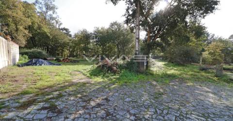 Terreno Rústico  Venda em Ferreiros, Prozelo e Besteiros,Amares