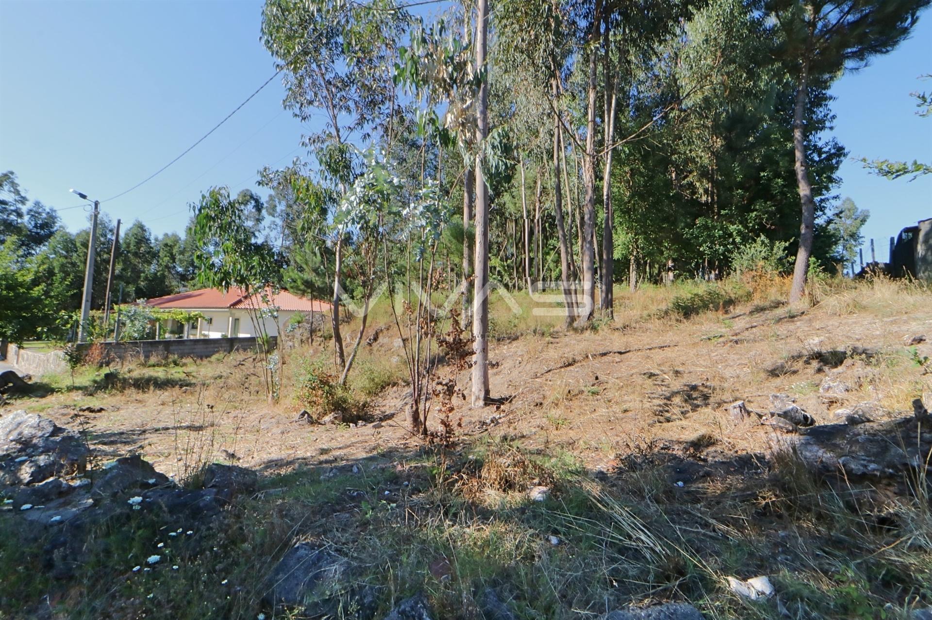 Terreno Urbano  Venda em Vila Verde e Barbudo,Vila Verde