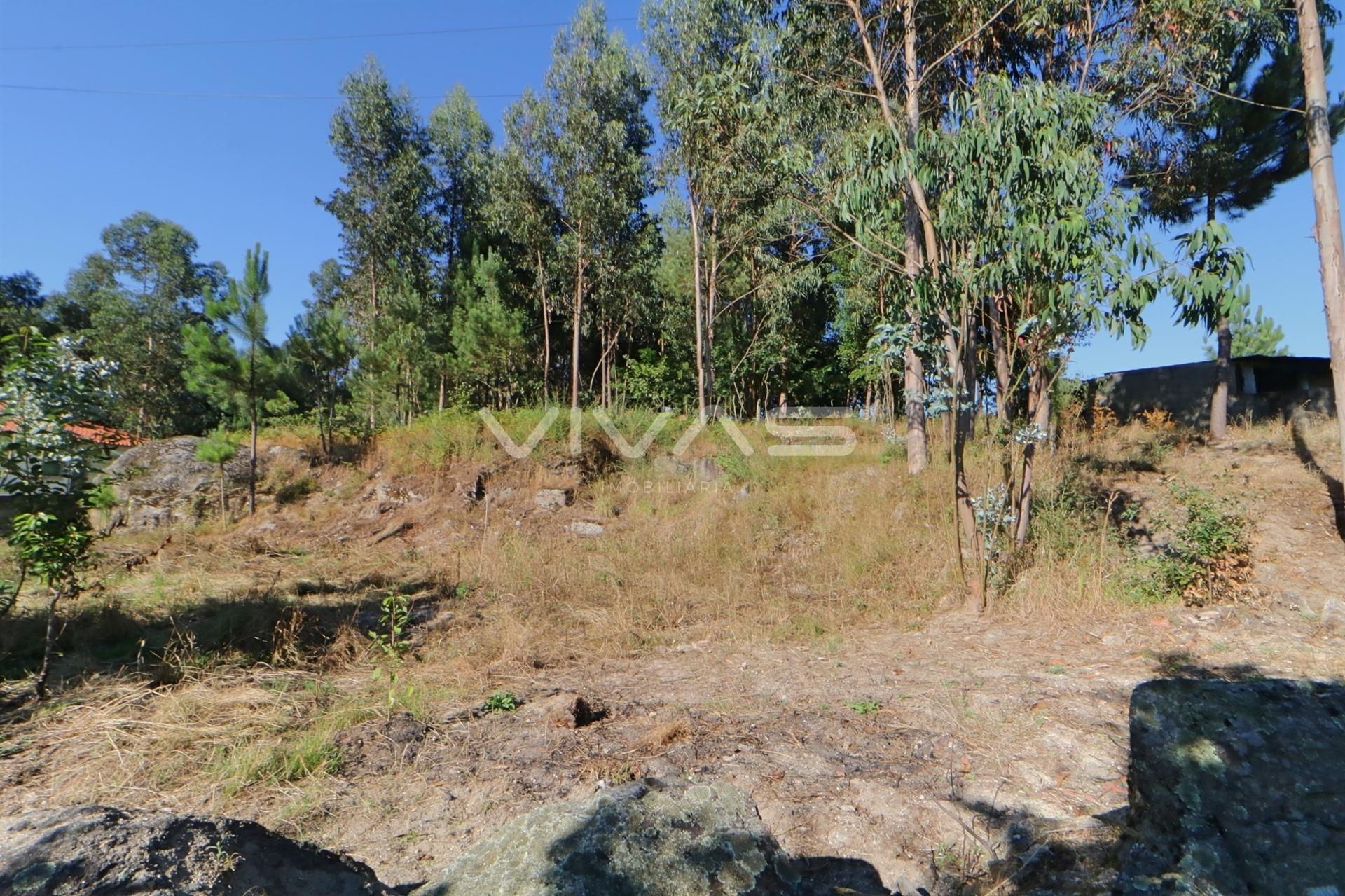 Terreno Urbano  Venda em Vila Verde e Barbudo,Vila Verde