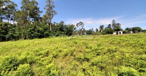 Terreno Rústico  Venda em Cervães,Vila Verde