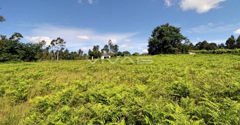 Terreno Rústico  Venda em Cervães,Vila Verde