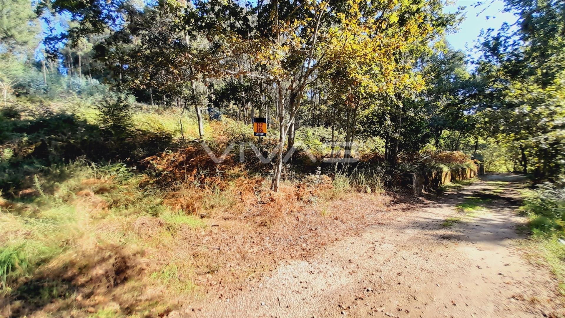 Terreno Rústico  Venda em Dornelas,Amares