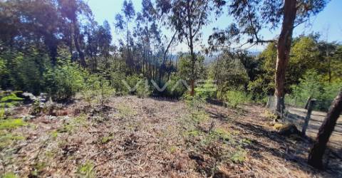 Terreno Rústico  Venda em Dornelas,Amares