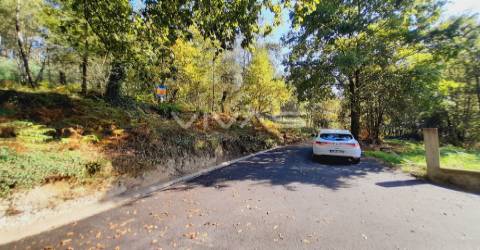 Terreno Rústico  Venda em Dornelas,Amares
