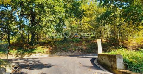 Terreno Rústico  Venda em Dornelas,Amares