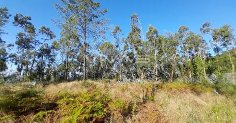 Terreno Rústico  Venda em Caires,Amares
