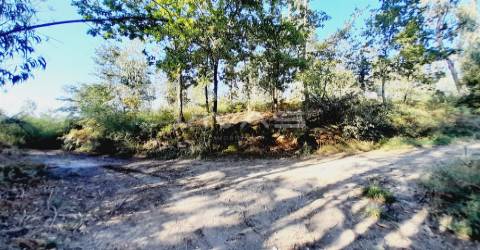 Terreno Rústico  Venda em Caires,Amares