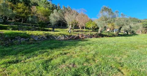 Moradia Isolada T0 Venda em Ribeira do Neiva,Vila Verde