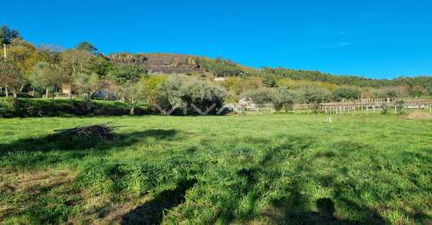 Moradia Isolada T0 Venda em Ribeira do Neiva,Vila Verde