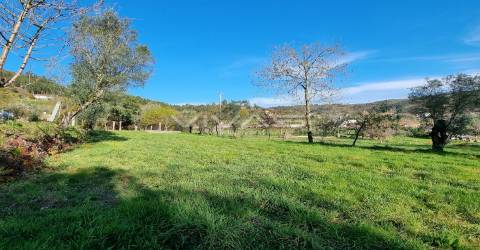 Moradia Isolada T0 Venda em Ribeira do Neiva,Vila Verde