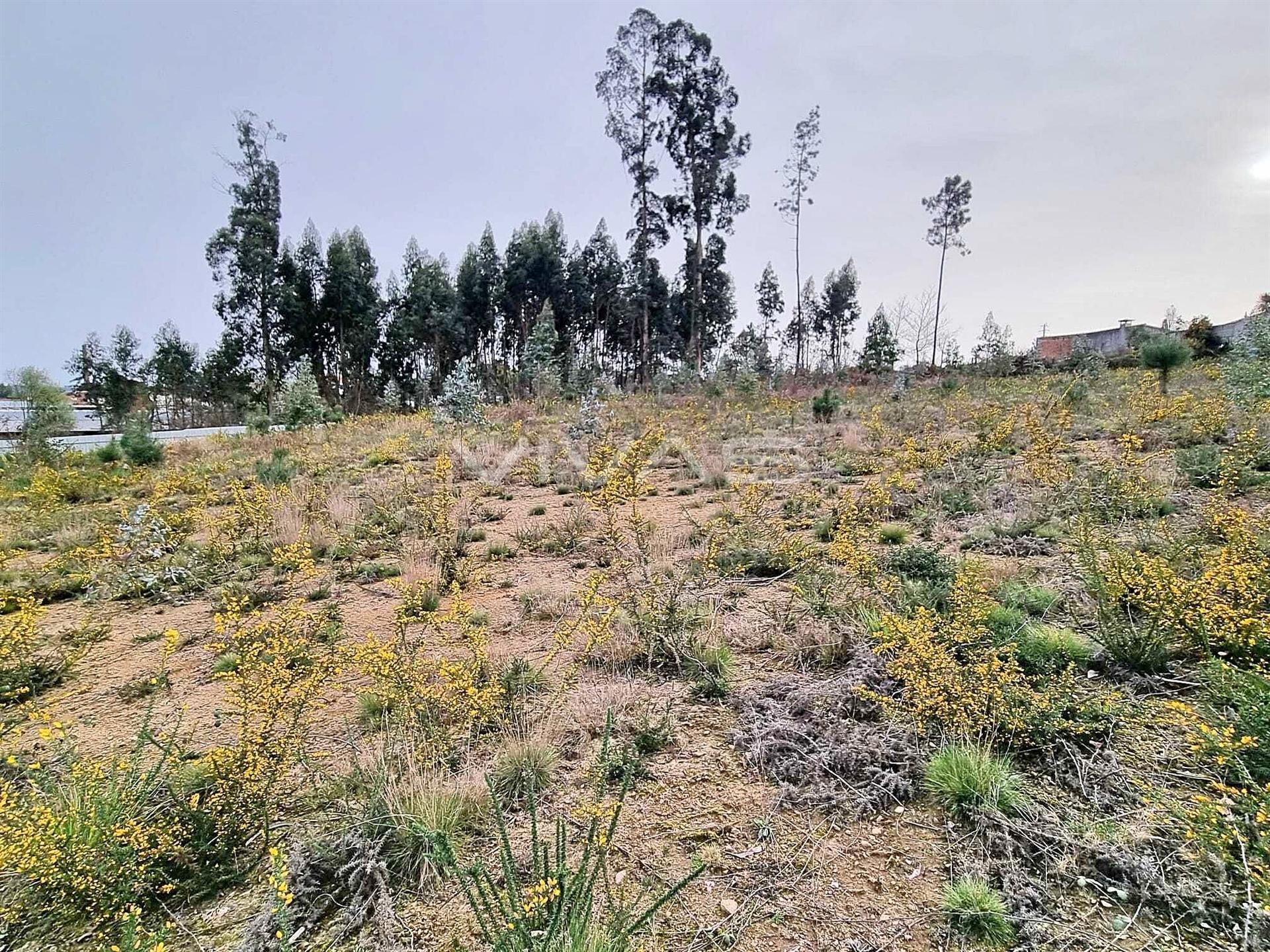 Loteamento  Venda em Oleiros,Vila Verde