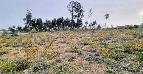 Loteamento  Venda em Oleiros,Vila Verde