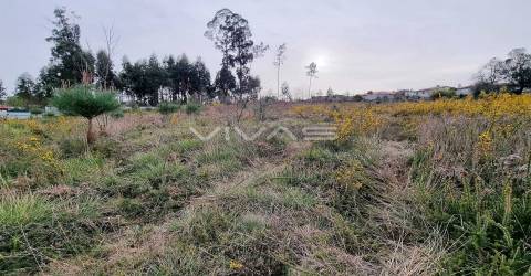 Loteamento  Venda em Oleiros,Vila Verde