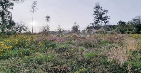 Loteamento  Venda em Oleiros,Vila Verde