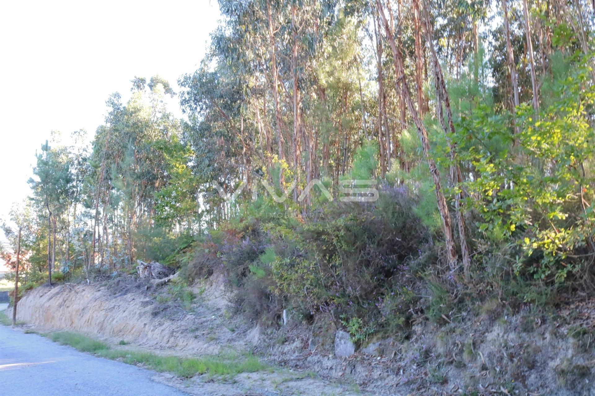 Terreno Urbano  Venda em Gême,Vila Verde