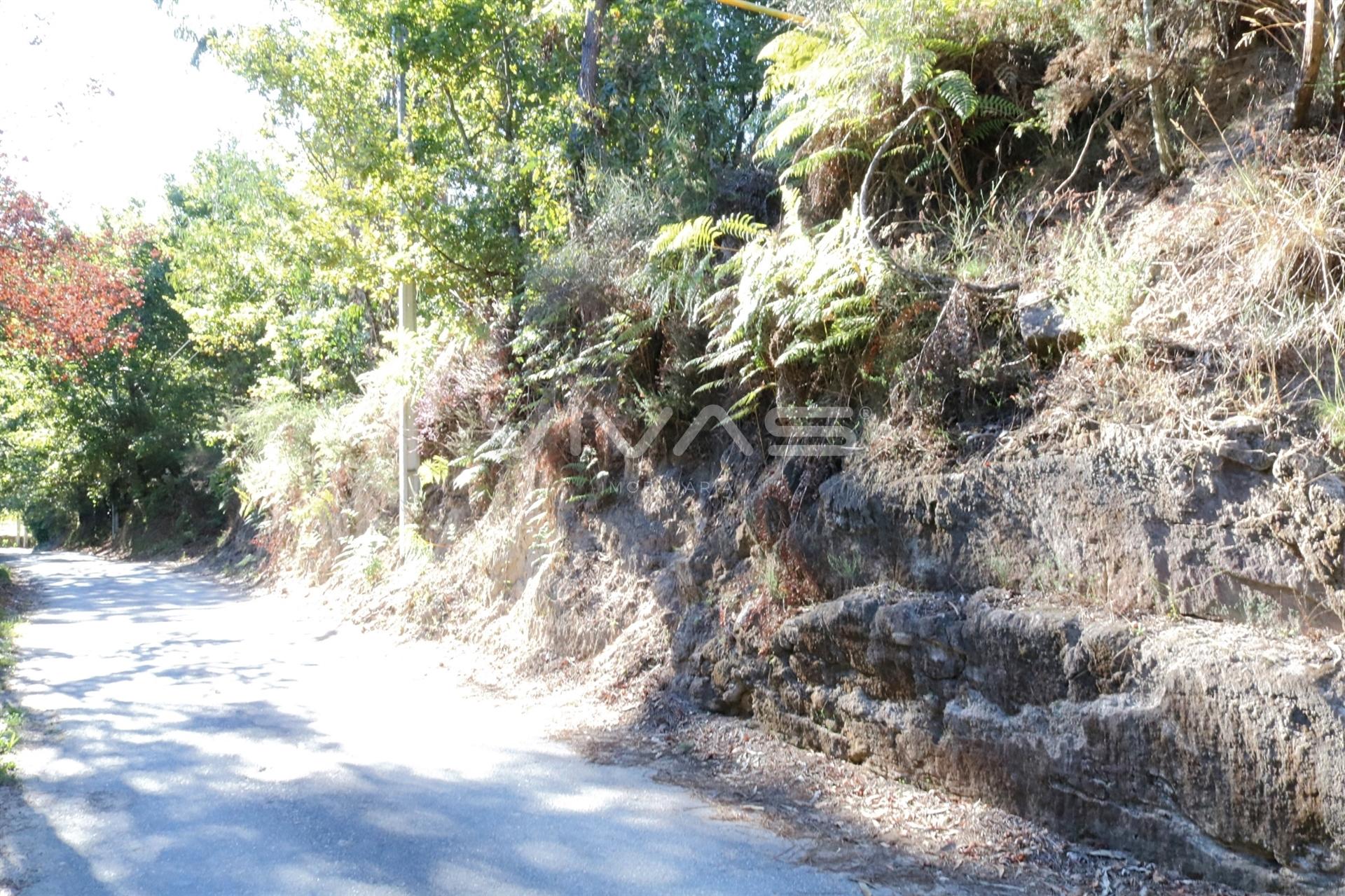 Terreno Urbano  Venda em Gême,Vila Verde