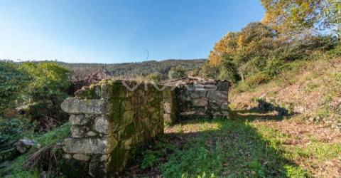 Moradia Isolada T0 Venda em Prado (São Miguel),Vila Verde