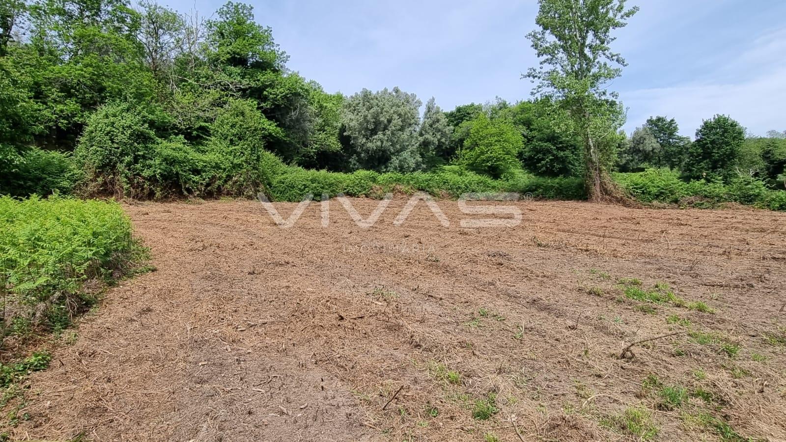 Terreno  Venda em Esqueiros, Nevogilde e Travassós,Vila Verde