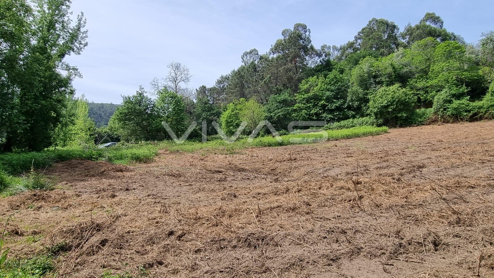 Terreno  Venda em Esqueiros, Nevogilde e Travassós,Vila Verde