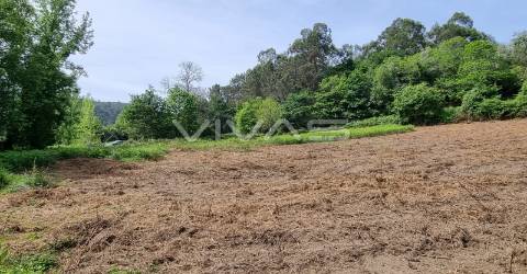 Terreno  Venda em Esqueiros, Nevogilde e Travassós,Vila Verde