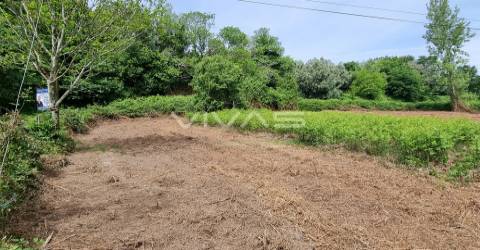 Terreno  Venda em Esqueiros, Nevogilde e Travassós,Vila Verde