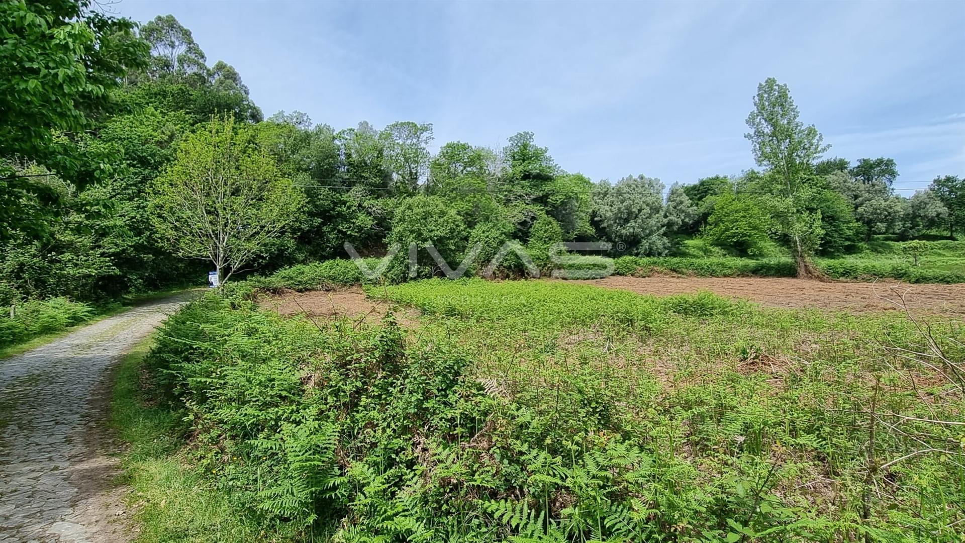 Terreno  Venda em Esqueiros, Nevogilde e Travassós,Vila Verde