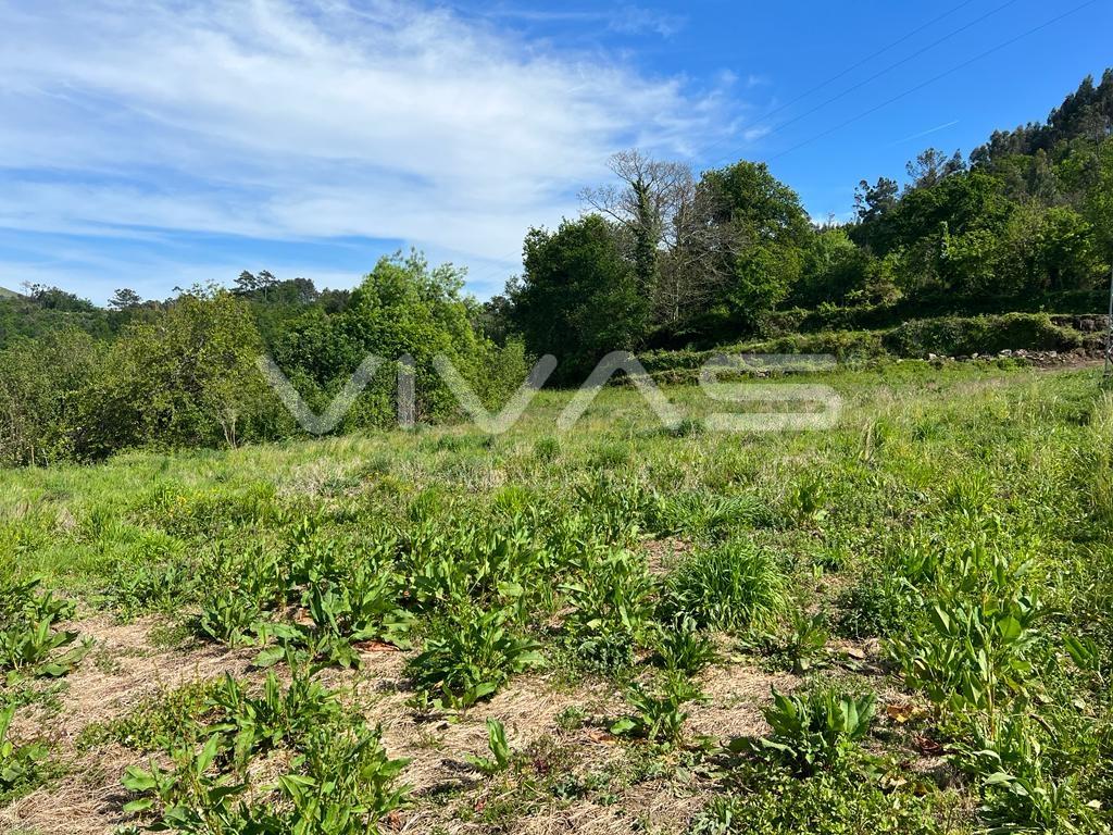 Terreno  Venda em Vade,Vila Verde