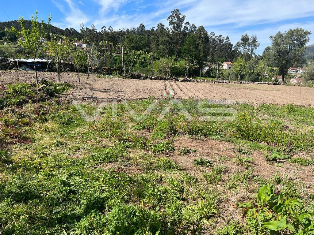 Terreno  Venda em Vade,Vila Verde