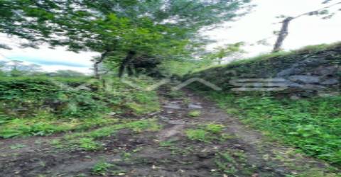 Terreno  Venda em Vade,Vila Verde