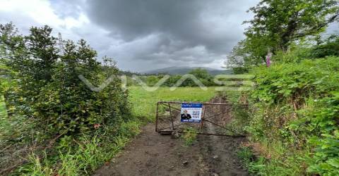 Terreno  Venda em Vade,Vila Verde