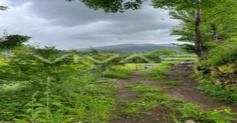 Terreno  Venda em Vade,Vila Verde