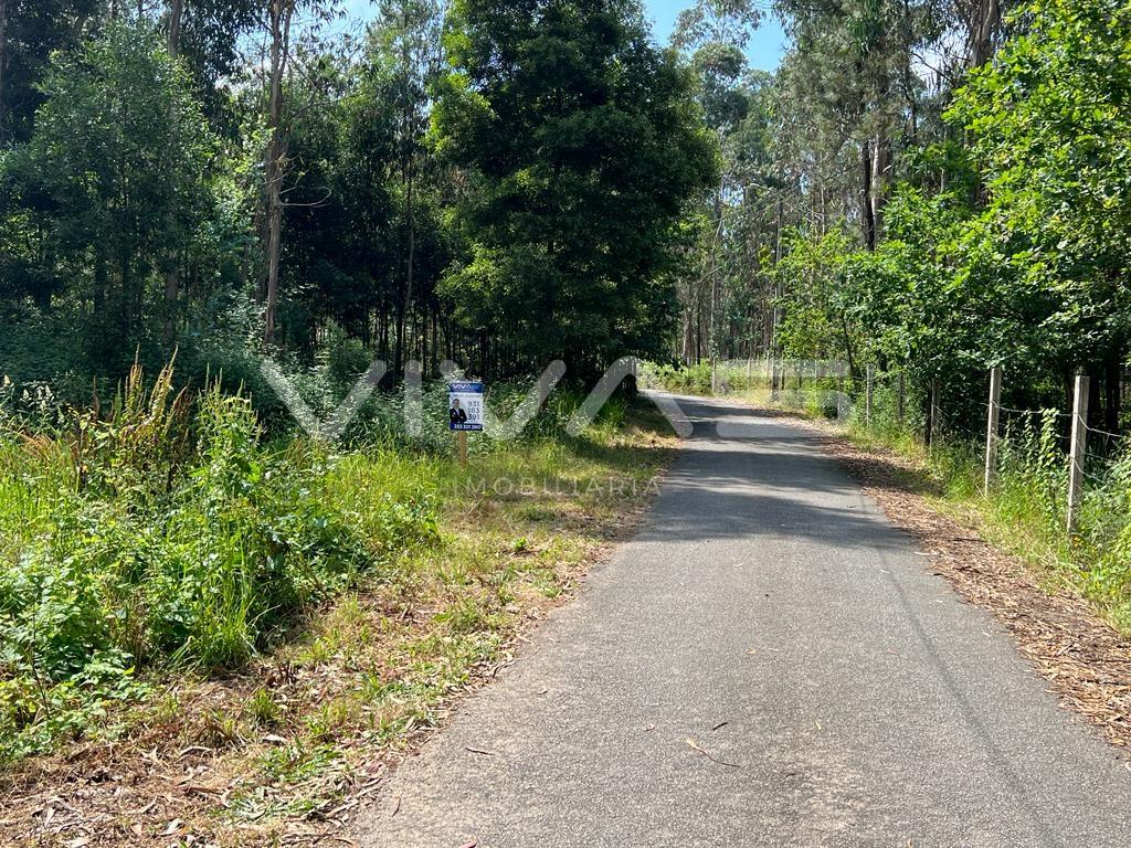 Terreno  Venda em Marrancos e Arcozelo,Vila Verde