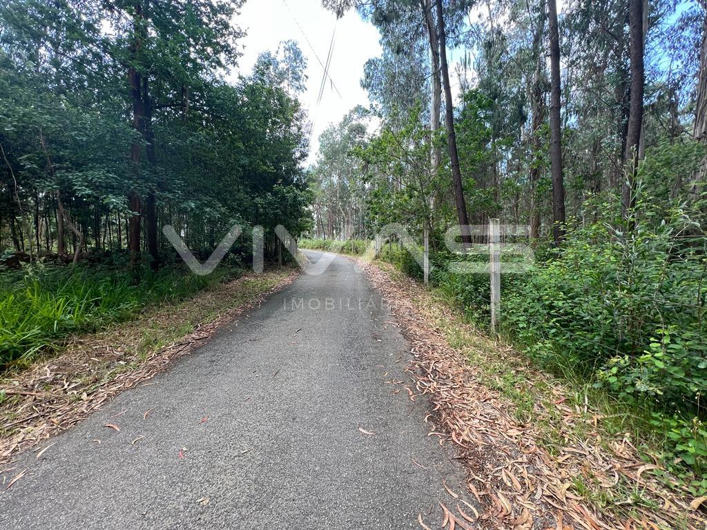 Terreno  Venda em Marrancos e Arcozelo,Vila Verde