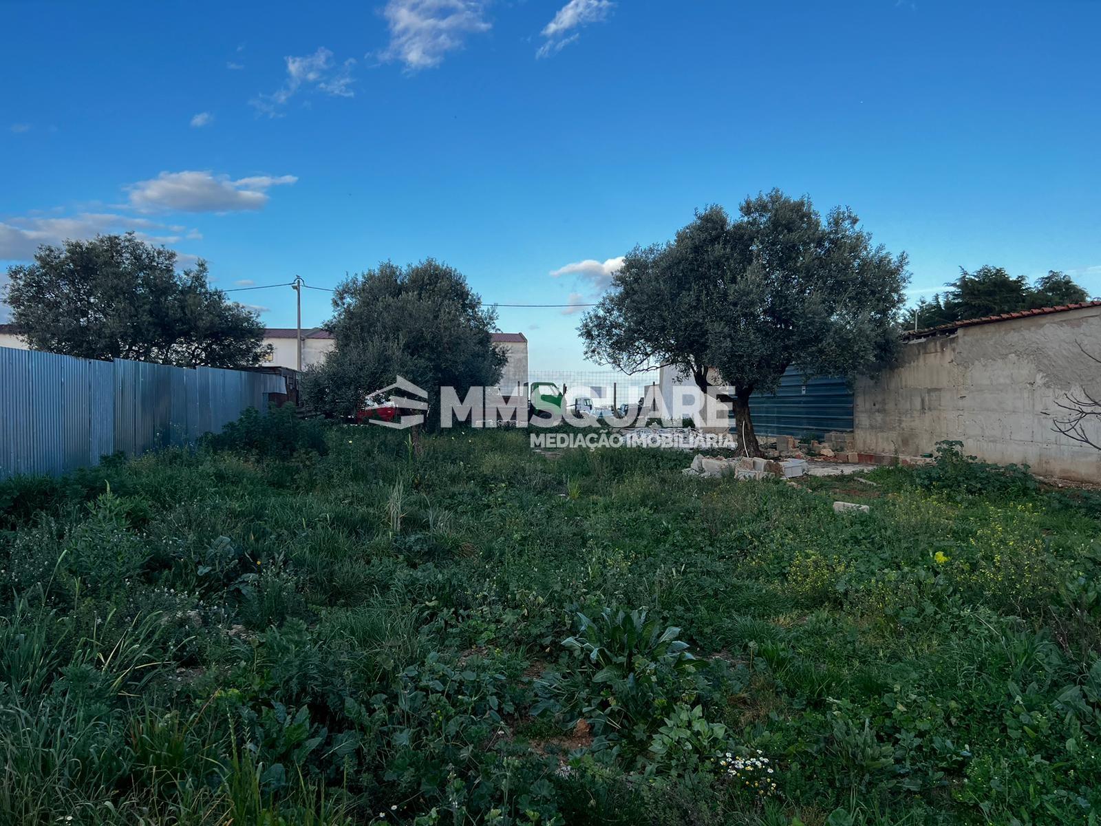 Terreno Para Construção  Venda em Aljustrel e Rio de Moinhos,Aljustrel