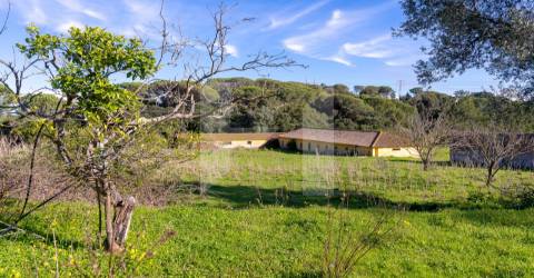 Quinta >=T10 Venda em Setúbal (São Julião, Nossa Senhora da Anunciada e Santa Maria da Graça),Setúbal