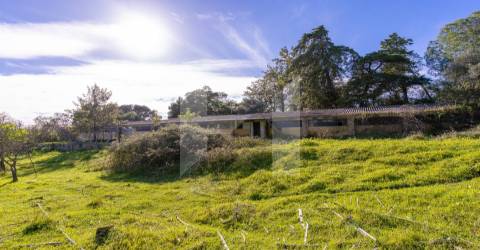 Quinta >=T10 Venda em Setúbal (São Julião, Nossa Senhora da Anunciada e Santa Maria da Graça),Setúbal