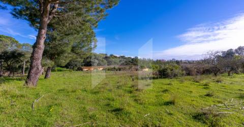 Quinta >=T10 Venda em Setúbal (São Julião, Nossa Senhora da Anunciada e Santa Maria da Graça),Setúbal