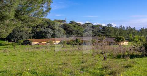 Quinta >=T10 Venda em Setúbal (São Julião, Nossa Senhora da Anunciada e Santa Maria da Graça),Setúbal