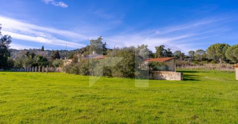 Quinta >=T10 Venda em Setúbal (São Julião, Nossa Senhora da Anunciada e Santa Maria da Graça),Setúbal