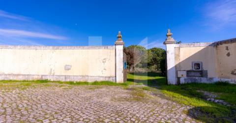 Quinta >=T10 Venda em Setúbal (São Julião, Nossa Senhora da Anunciada e Santa Maria da Graça),Setúbal