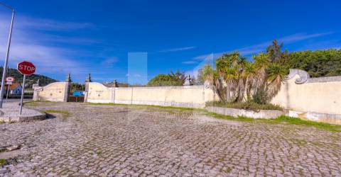 Quinta >=T10 Venda em Setúbal (São Julião, Nossa Senhora da Anunciada e Santa Maria da Graça),Setúbal
