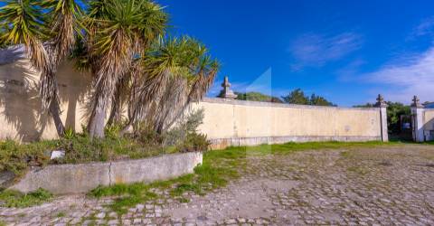 Quinta >=T10 Venda em Setúbal (São Julião, Nossa Senhora da Anunciada e Santa Maria da Graça),Setúbal