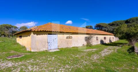 Quinta >=T10 Venda em Setúbal (São Julião, Nossa Senhora da Anunciada e Santa Maria da Graça),Setúbal